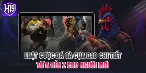 Luật Cược Đá Gà Cựa Dao Chi Tiết Từ A Đến Z Cho Người Mới